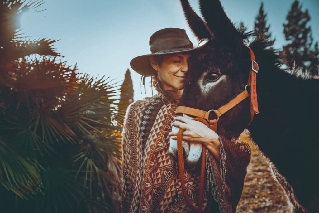 Amaya's dream: A new beginning for the donkey's of Mijas.
