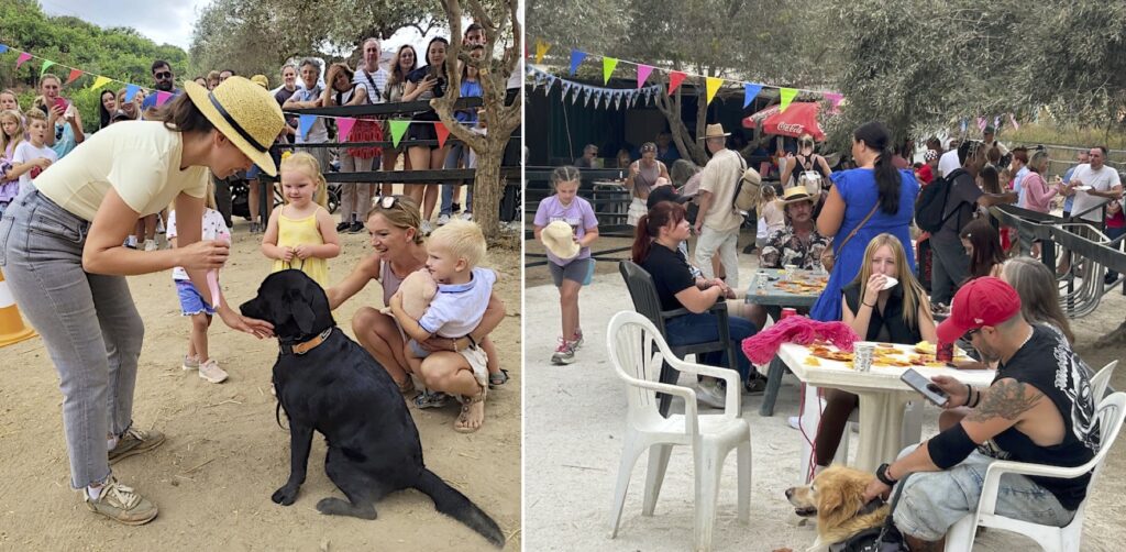 Country fete and dog show