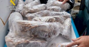 Police discover black market octopus and other seafood being sold at restaurant on Spain’s Costa Blanca