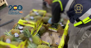 Watch: Police in Spain bust cocaine haul hidden among pineapple shipments