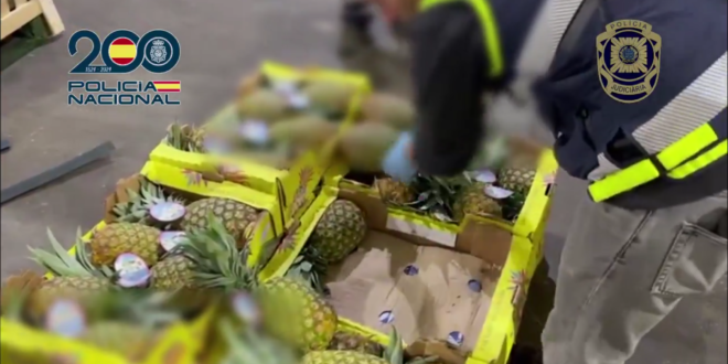Watch: Police in Spain bust cocaine haul hidden among pineapple shipments