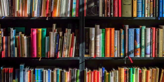 Thief pinched hundreds of books from libraries in Spain's Valencia for online resale
