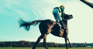 A Brief but Essential History of Spanish Horse Racing