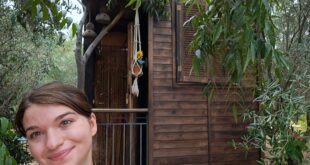Review: The Little Wooden House is a charming hidden gem nestled in an olive grove in inland Malaga - and offers the perfect autumn escape - CSN
