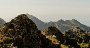 wildlife in Mallorca « Euro Weekly News