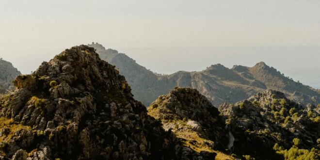 wildlife in Mallorca « Euro Weekly News