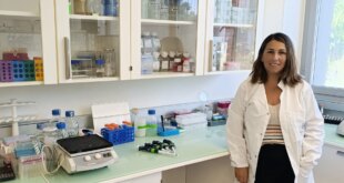 Malaga researchers discover mechanism that regenerates coronary arteries after heart attack