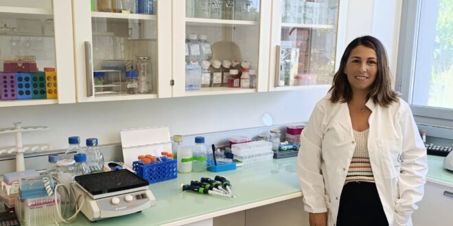 Malaga researchers discover mechanism that regenerates coronary arteries after heart attack