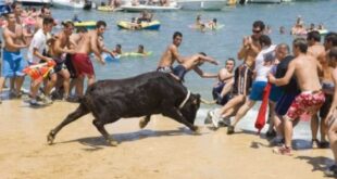 Bull In Bous A La Mar