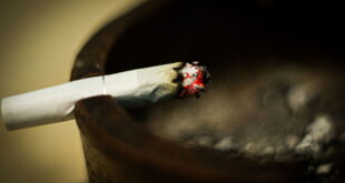 “If tobacco kills, decide to live” « Euro Weekly News - CSN