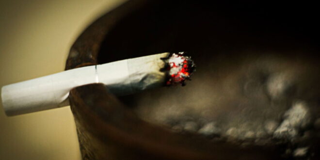 “If tobacco kills, decide to live” « Euro Weekly News - CSN