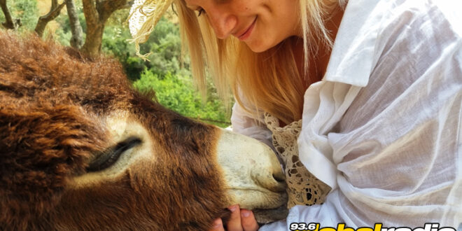 Dinner With The Donkeys - 93.6 Global Radio - Costa Spain News