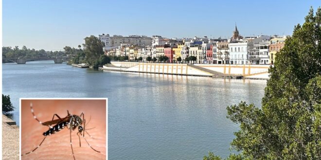 Spain's Sevilla takes 'unprecedented' measures to battle West Nile virus amid fears of a new epidemic