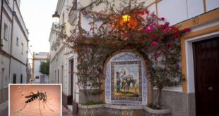 Spain's West Nile ghost town: Residents in Sevilla village 'fear going out at night' after string of deaths caused by mosquito-borne virus