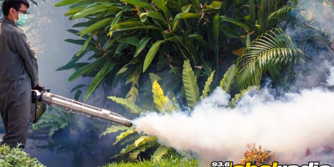 Alhaurin Council Taking Action Against Mosquitos - Costa Spain News