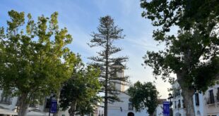 Two companies bid for contract to renovate iconic Costa del Sol landmark - CSN