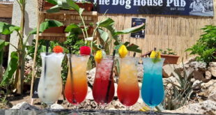 Charity Day at the Dog House Pub, Albir « Euro Weekly News
