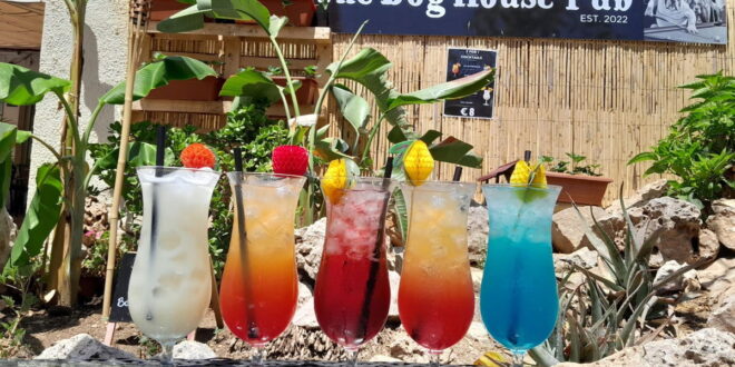Charity Day at the Dog House Pub, Albir « Euro Weekly News