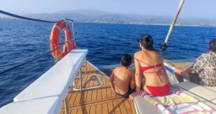 Dolphin spotting and open sea swimming from catamaran based in popular Costa del Sol harbour