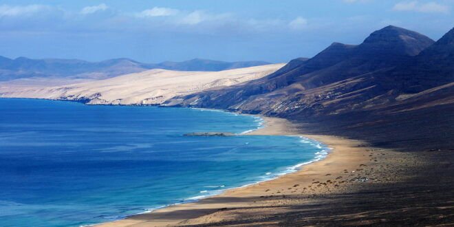 Woman dies in shark attack in Canary Islands « Euro Weekly News - CSN