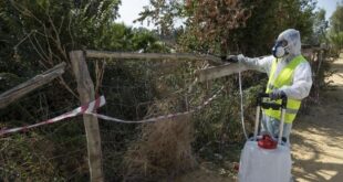 Efforts to control West Nile fever ramp up after virus detected in Malaga