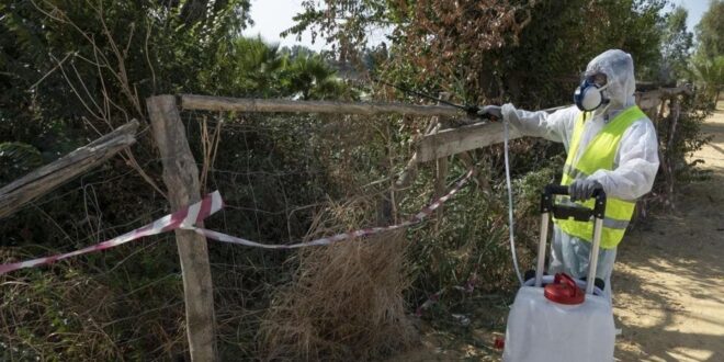 Efforts to control West Nile fever ramp up after virus detected in Malaga