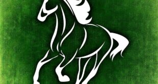 Former Derby Winner Bidding to Produce Future Champions in Spain
