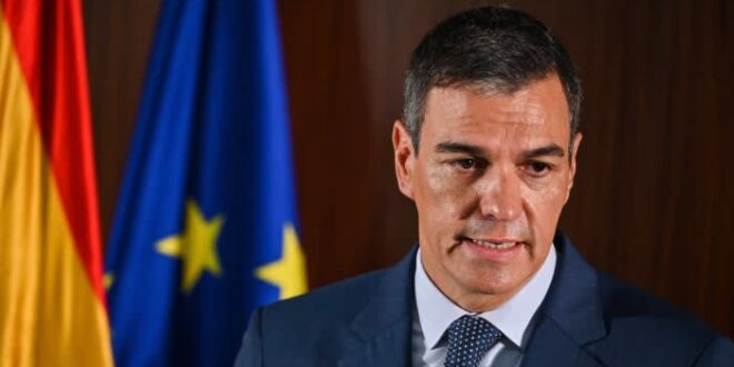 Spain’s Pedro Sánchez calls on EU to ‘reconsider’ Chinese EV tariffs - CSN