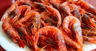 Garrucha’s Red Prawn Festival 2024 « Euro Weekly News - CSN