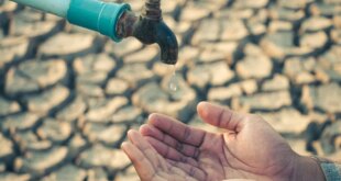 Vélez-Málaga face increased water restrictions « Euro Weekly News