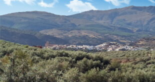 Rural rise in popularity in Spain « Euro Weekly News - CSN