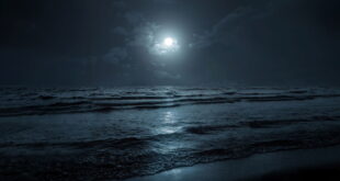 Full moon night hike in Mojacar « Euro Weekly News - CSN