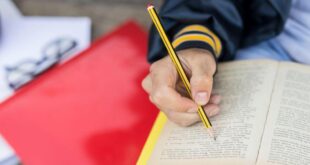 Spotlight: Study Spanish in Spain to immerse yourself in its culture and build connections - CSN