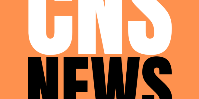 Marbella news in English