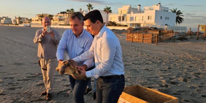 Saved from plastic, sea turtle released back into the wild - CSN News