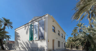 Uncover the oasis: Guided tours of Orihuela’s historic Palm Grove - CSN News