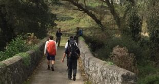 Discover rural Orihuela: Walk the Camino del Lignum Crucis - CSN News