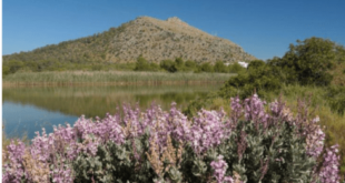 New ‘natural paradise’ will open in Mallorca next year after years-long conservation project by the WWF - CSN News