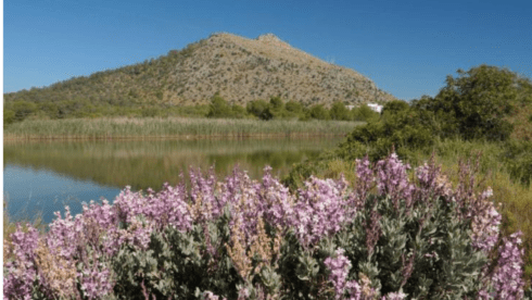New ‘natural paradise’ will open in Mallorca next year after years-long conservation project by the WWF - CSN News