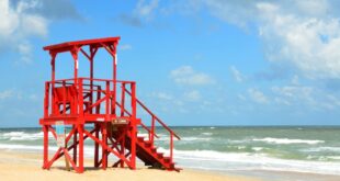 Swimmer saved by fast acting lifeguards - CSN News