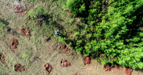 Fighting back flames: Expats join forces with the WWF to protect against forest fires - CSN News