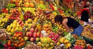 Almería showcases its agricultural excellence at Fruit Attraction 2024 - CSN News