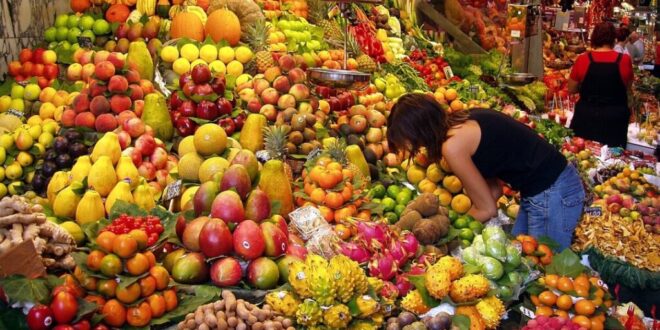 Almería showcases its agricultural excellence at Fruit Attraction 2024 - CSN News