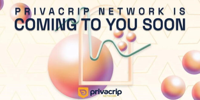 Avalanche and Ethereum are still a powerhouse and PrivaCrip enters the crypto scene with a 50% bonus to early buyers! - CSN News