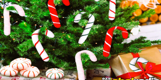 Candy Cane Christmas Party - CSN News