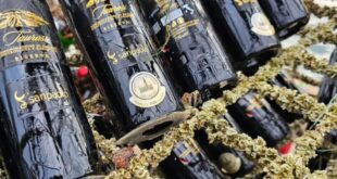 Flavour of the sea; Croatia´s unique underwater wine production - CSN News
