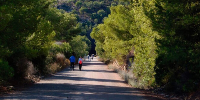 Benidorm finalist in ‘European Pioneer of Smart Tourism 2025’ - CSN News