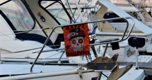 Halloween Boat! Málaga’s Spookiest Boat Bash. - CSN News