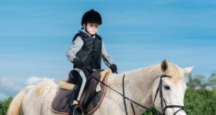 Horse-riding for all in Torremolinos - CSN News