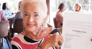June Rendle, Curtain Call - CSN News